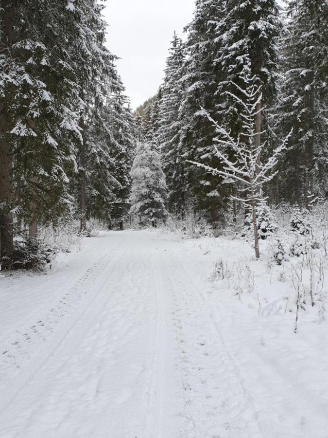 Ammerwald Alm Plansee Exterior photo